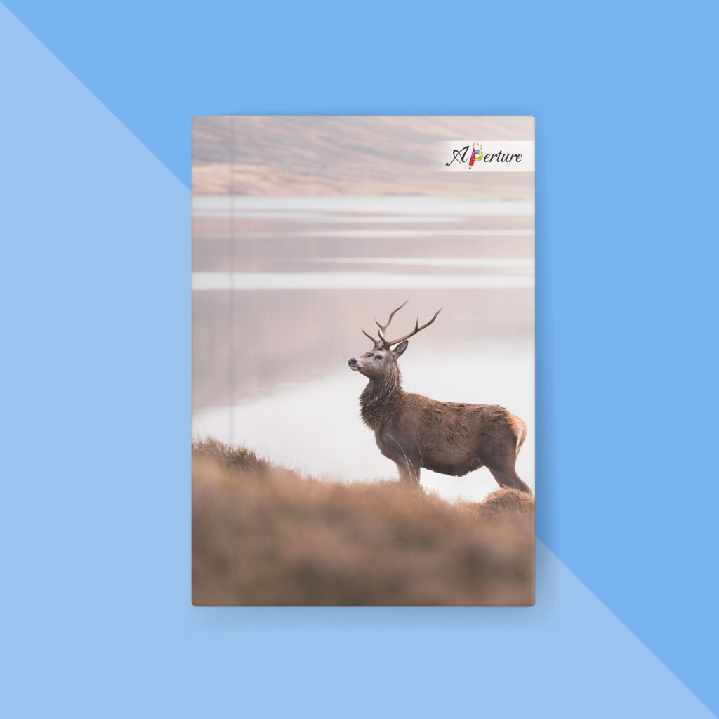 National Park A5 Hard Bound Diary 160 Ruled Pages 80 GSM Paper for Smooth Writing