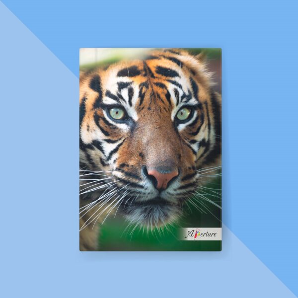 National Park A5 Hard Bound Diary 160 Ruled Pages 80 GSM Paper for Smooth Writing