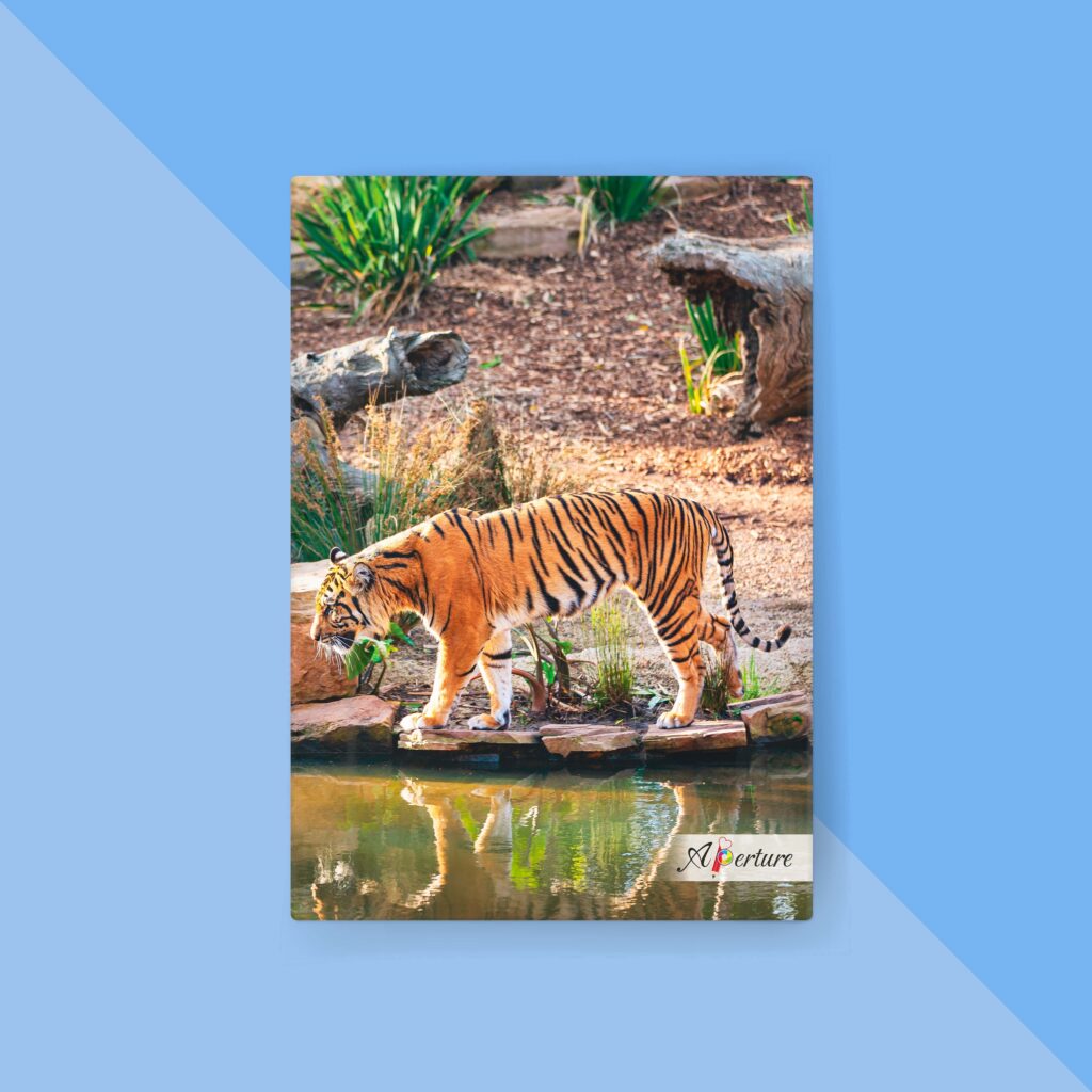 National Park A5 Hard Bound Diary 160 Ruled Pages 80 GSM Paper for Smooth Writing
