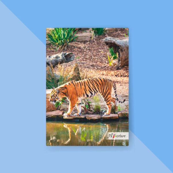 National Park A5 Hard Bound Diary 160 Ruled Pages 80 GSM Paper for Smooth Writing