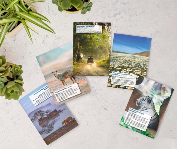 National Park A5 Hard Bound Diary 160 Ruled Pages 80 GSM Paper for Smooth Writing